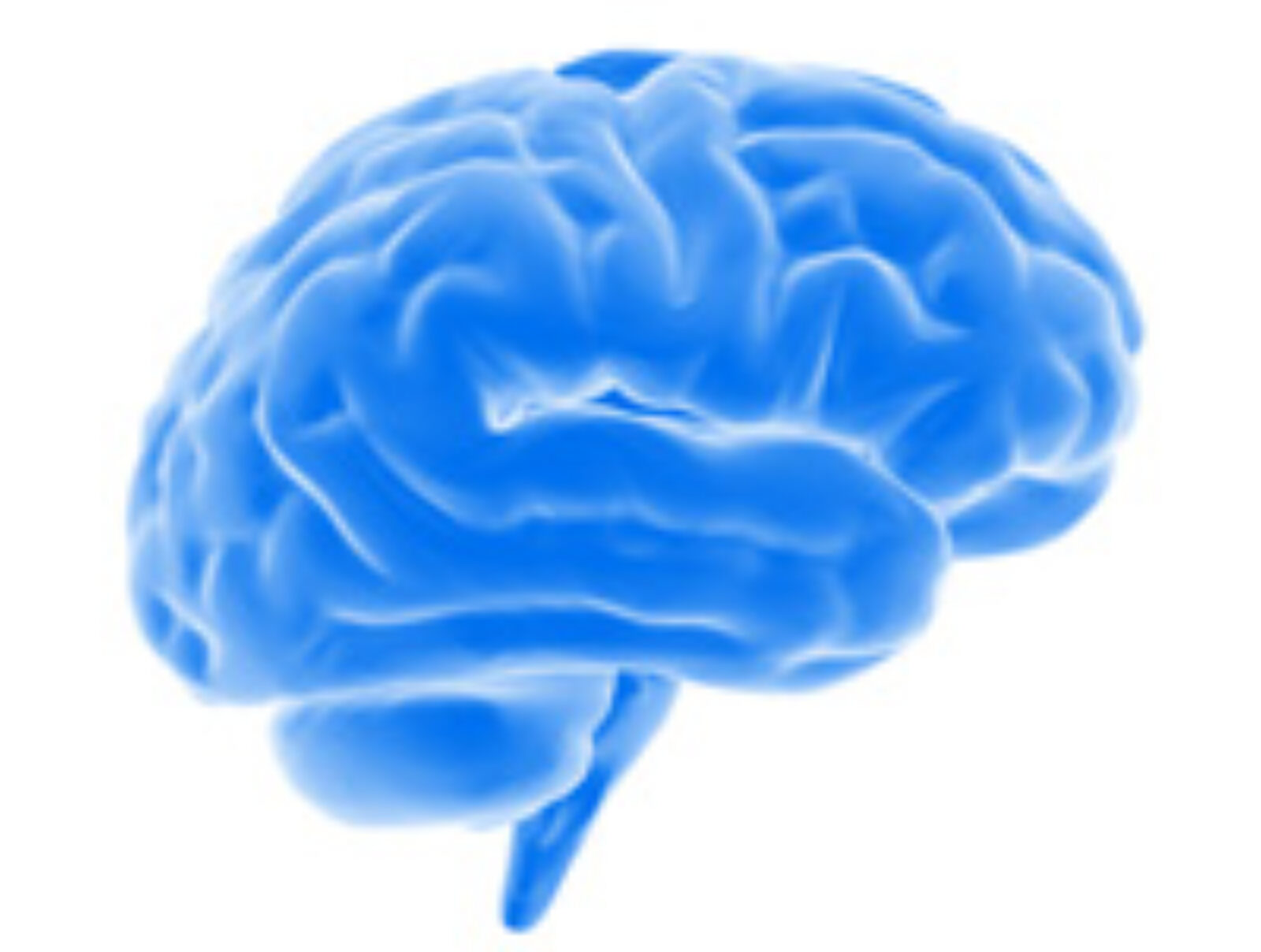 Keystone Symposia: State of the Brain